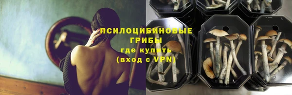 mdma Дмитровск